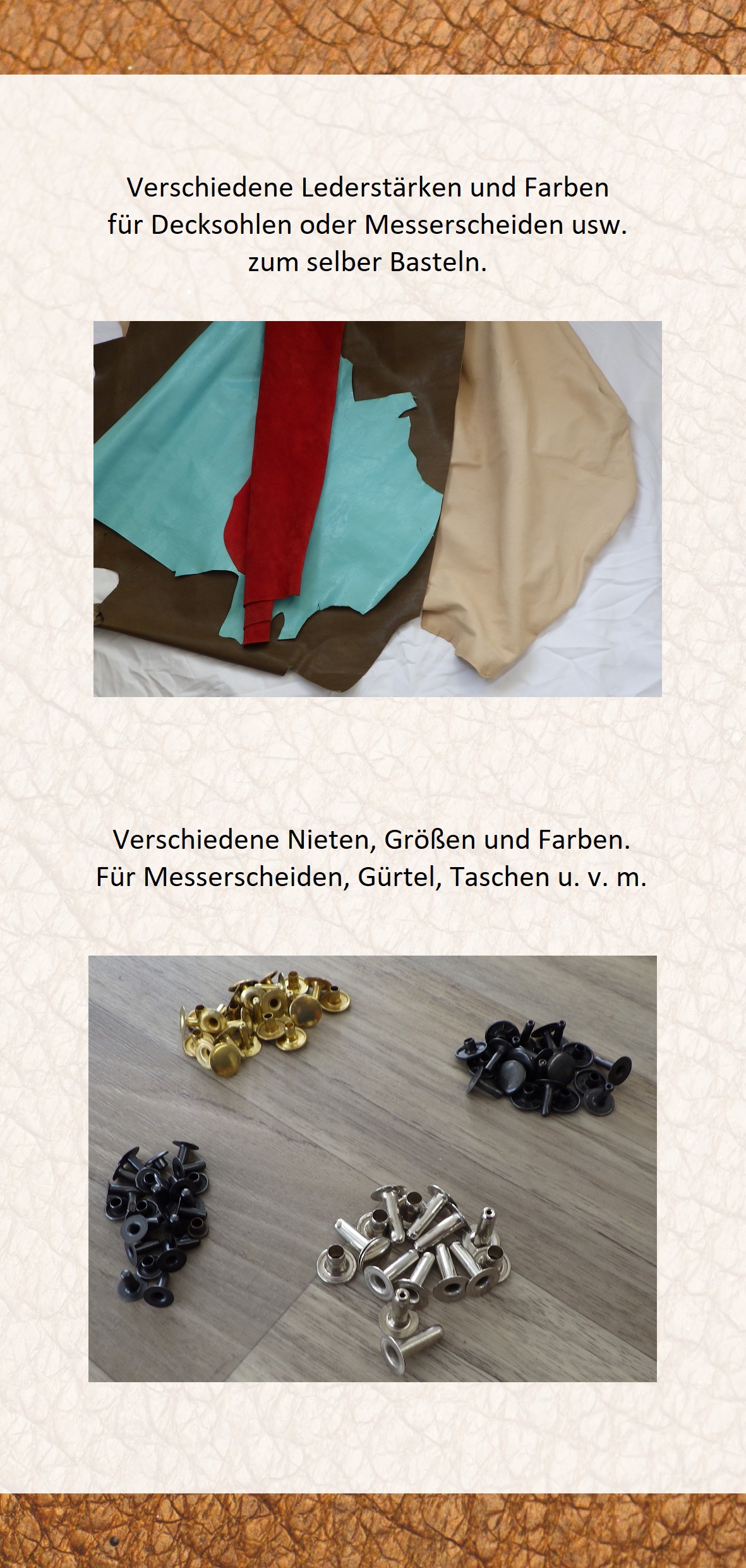 Bild 17